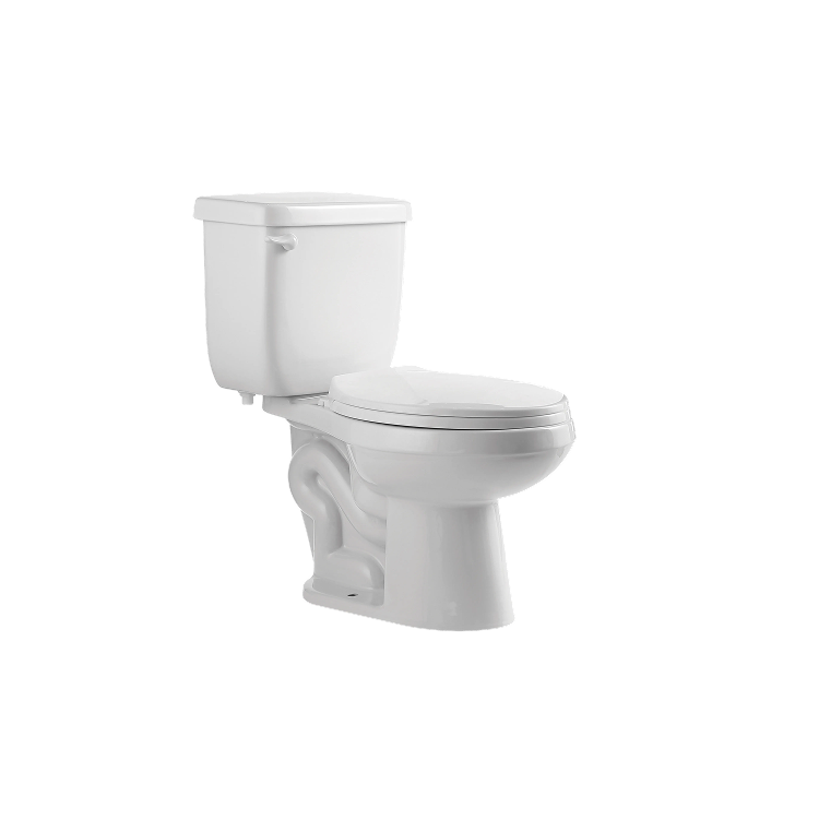 Two Piece Toilet