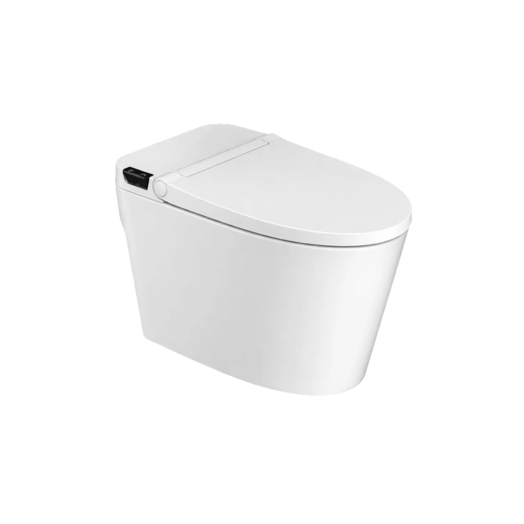 Smart Toilet